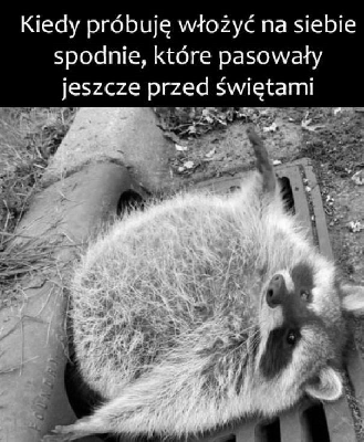 Gruby szop po świętach